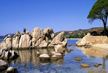 莫兰特惊艳全场，关键时刻神级表现助攻爆棚，鹈鹕逆转取胜！